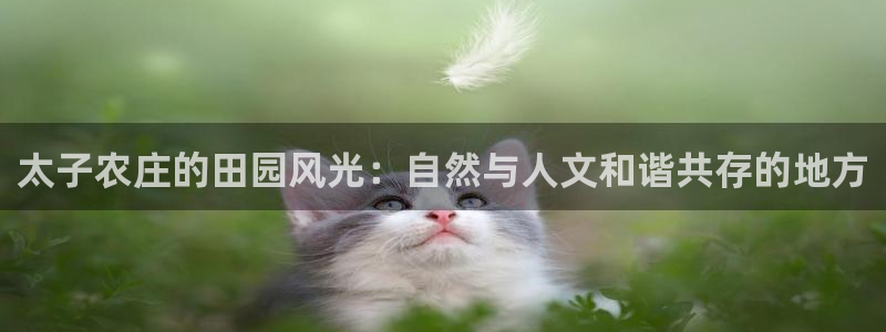 天辰娱乐解封