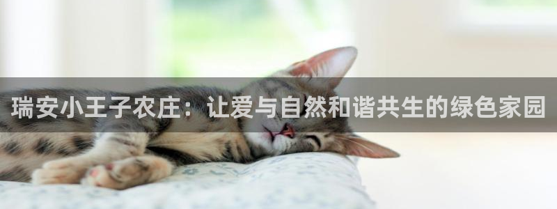 天辰娱乐入口