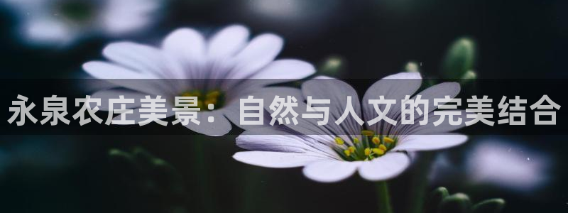天辰娱乐885544