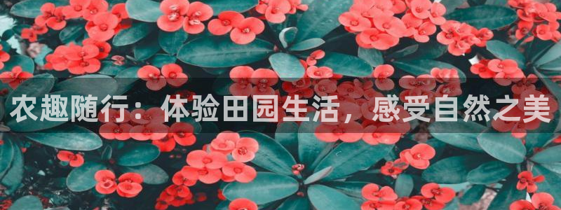 天辰娱乐卡