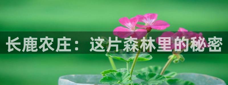 天辰娱乐总管年薪
