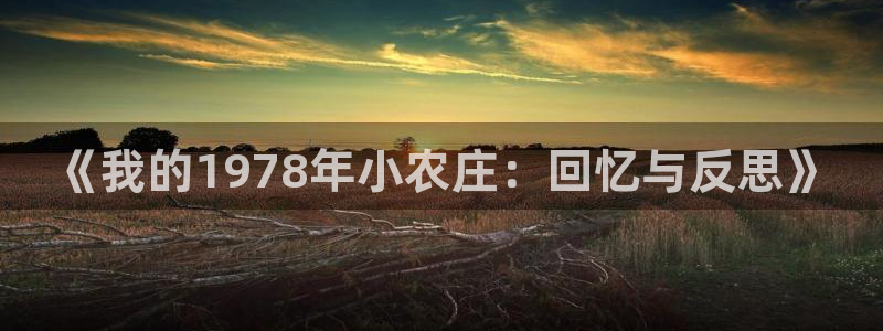 天辰娱乐平台安全吗