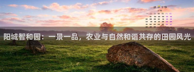 天辰娱乐传媒