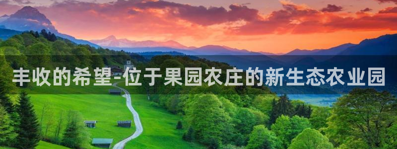 天辰娱乐主管