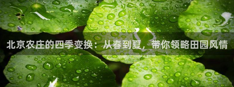 天辰娱乐棋牌