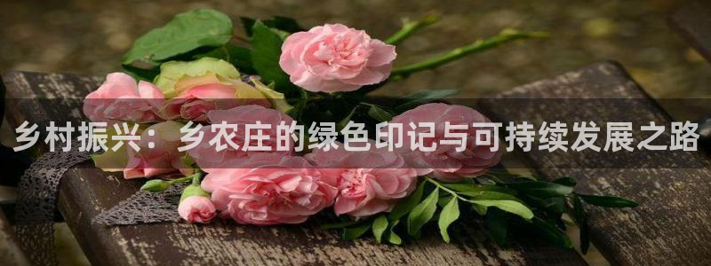 常州天辰娱乐