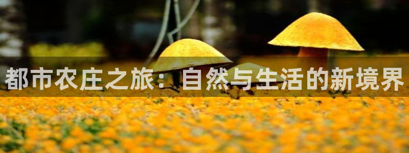 天辰辰娱乐代理