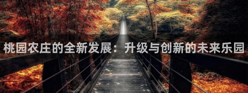 天辰娱乐官