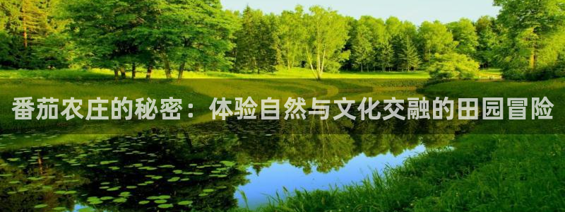 天辰娱乐电话