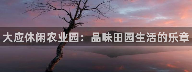 集宁天辰娱乐
