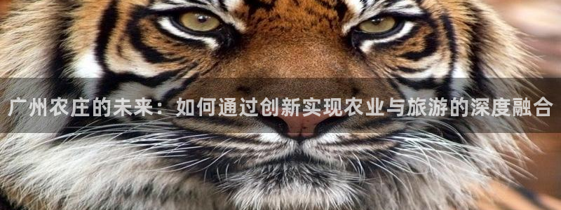 天辰娱乐解封