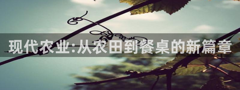 菲律宾天辰娱乐