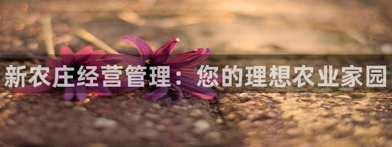 天辰娱乐直属