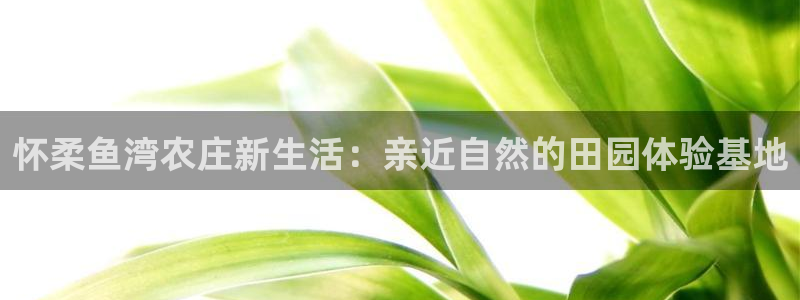 天辰娱乐10086
