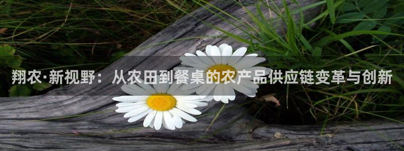 天辰娱乐总管
