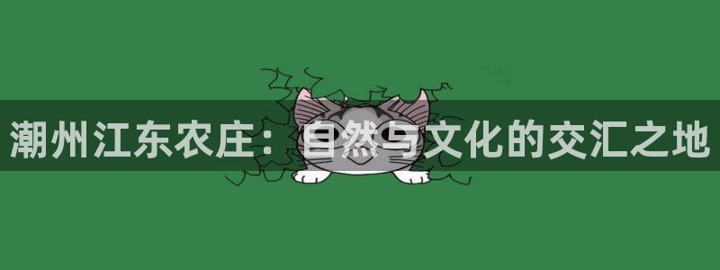 天辰娱乐675138