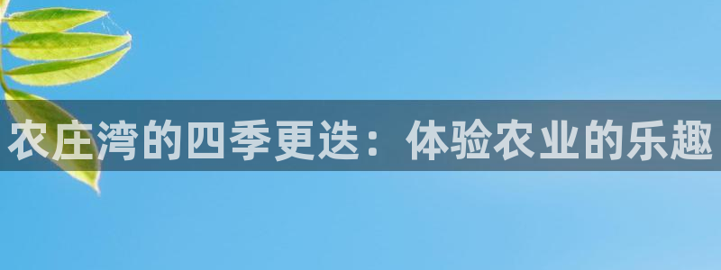 天辰娱乐44516
