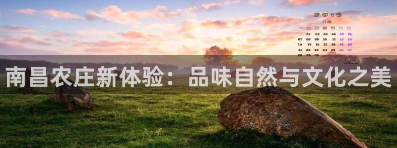 天辰娱乐84566