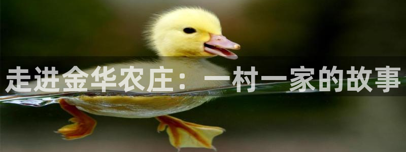 天辰娱乐平台安全吗