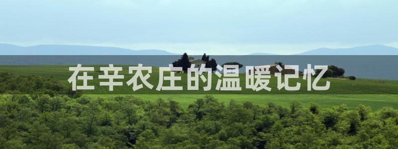天辰娱乐1980