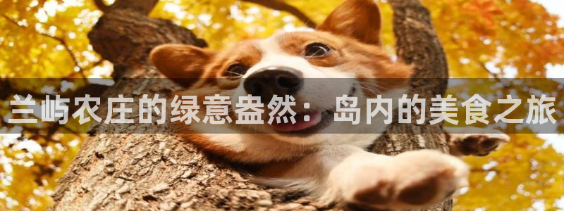天辰娱乐首页