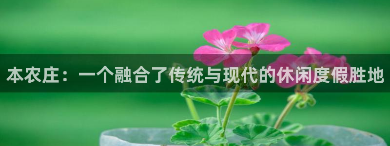 天辰娱乐登陆平台