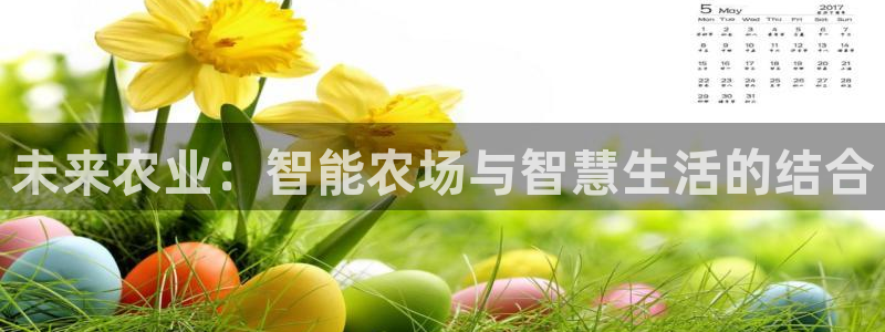 天辰娱乐 首选