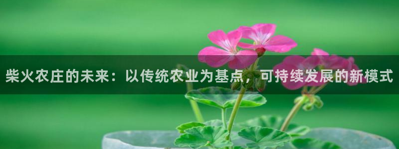 天辰娱乐APP下载