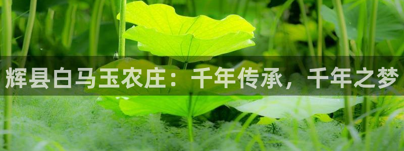 天辰娱乐 . 鱼刺