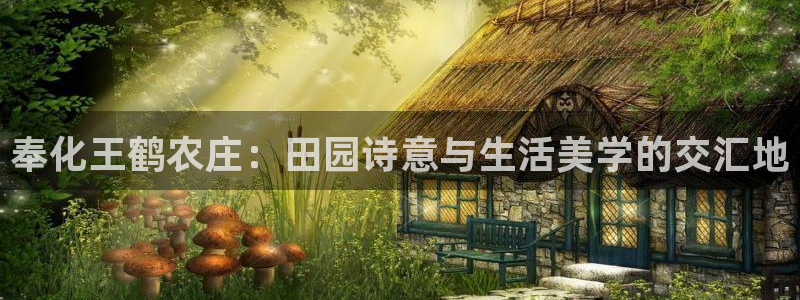 手机上怎么下载天辰娱乐