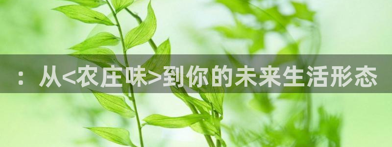 天辰娱乐tff
