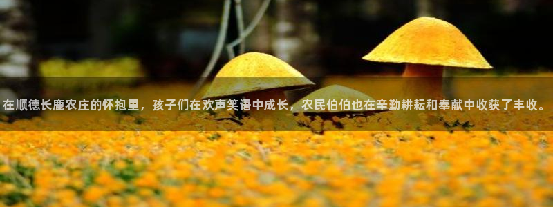 天辰娱乐平台地址
