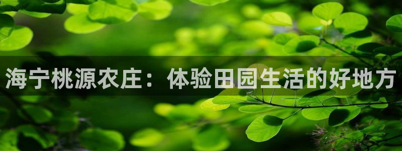 天辰娱乐 . 鱼刺