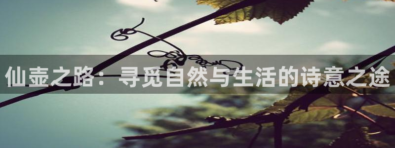 天辰娱乐指定