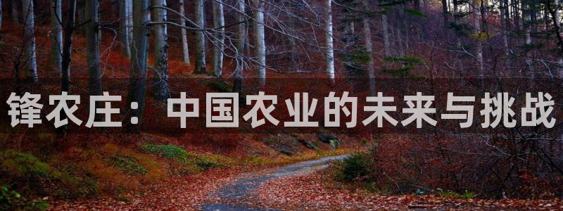 天辰娱乐平台安全吗