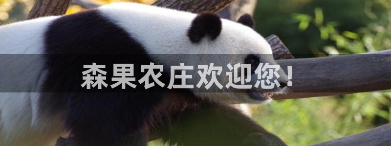 天辰a娱乐
