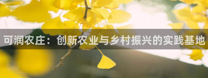 天辰娱乐557448