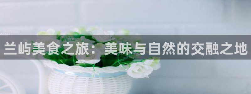 天辰娱乐1980