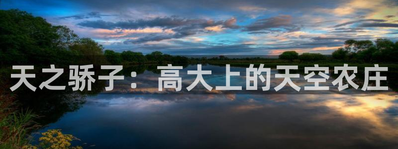 天辰 娱乐 注册