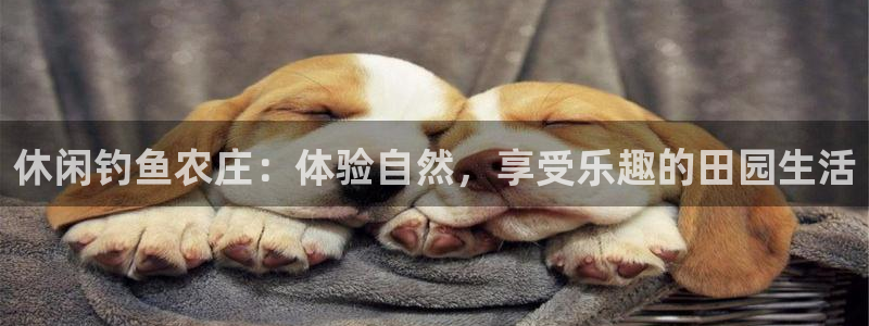 天辰娱乐娱乐