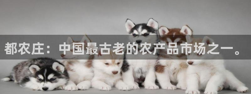 天辰娱乐在线登录注册