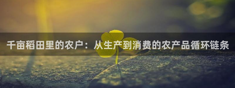 天辰娱乐小姐