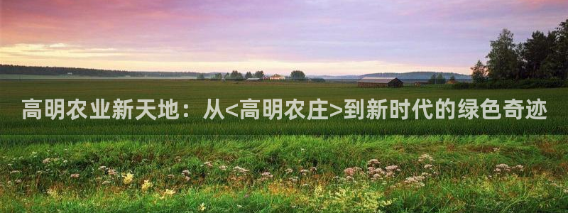 天辰娱乐2