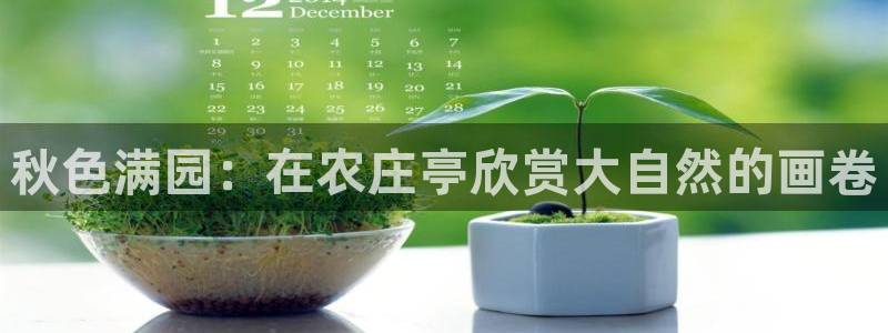 天辰娱乐娱乐