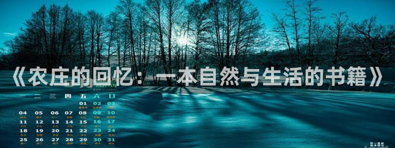 天辰娱乐招商