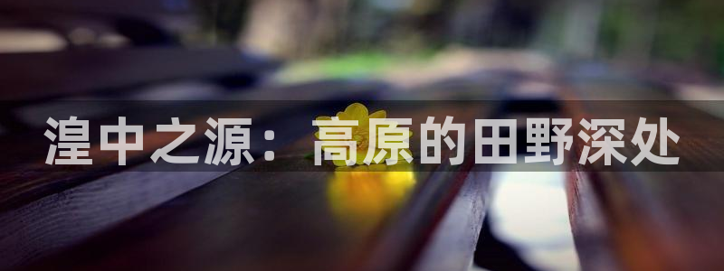 天辰娱乐主页