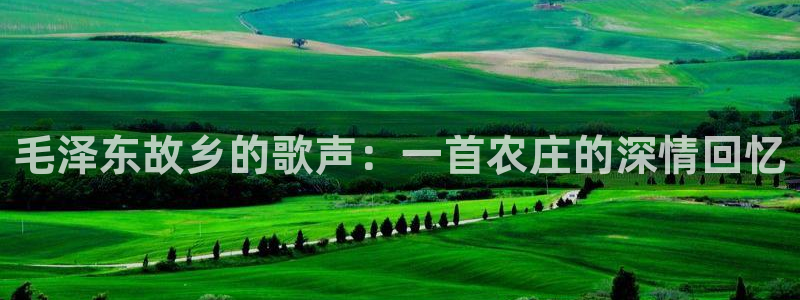 天辰娱乐平台app下载