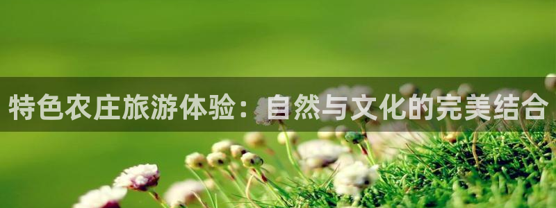 天辰娱乐ttf
