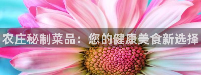 天辰娱乐官