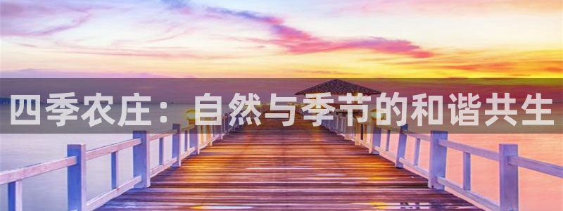 天辰娱乐小妹